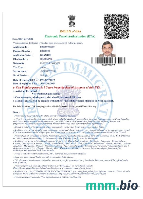 E-visa do Indii w pełni edytowalna PSD